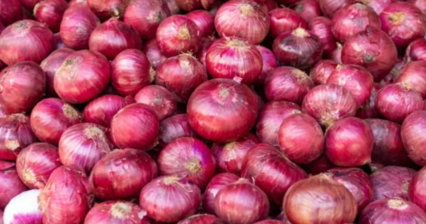Onion