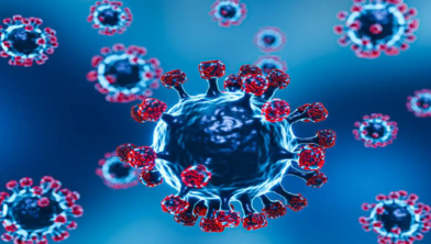 corona virus
