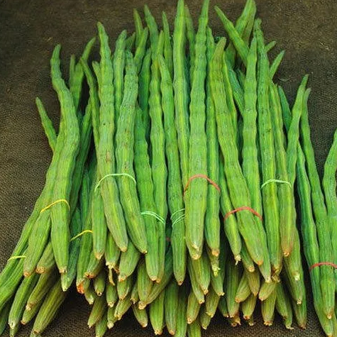 Drumstick सहजन Drumstick