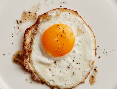 egg