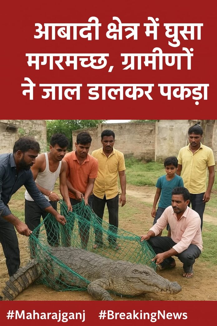 maharajganj