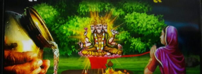 Peepal tree Peepal Tree: Peepal tree is full of spiritual, environmental and medicinal properties: