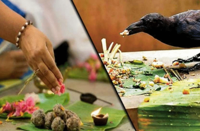 pitru paksha Pitru Paksha