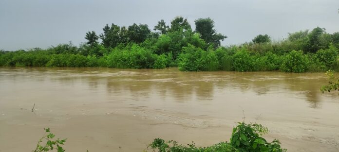 Maharajganj news Maharajganj news