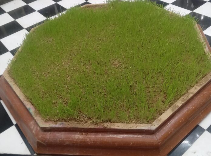 World Environment Health Day 2 The environment includes lithosphere, hydrosphere, atmosphere and biosphere etc.