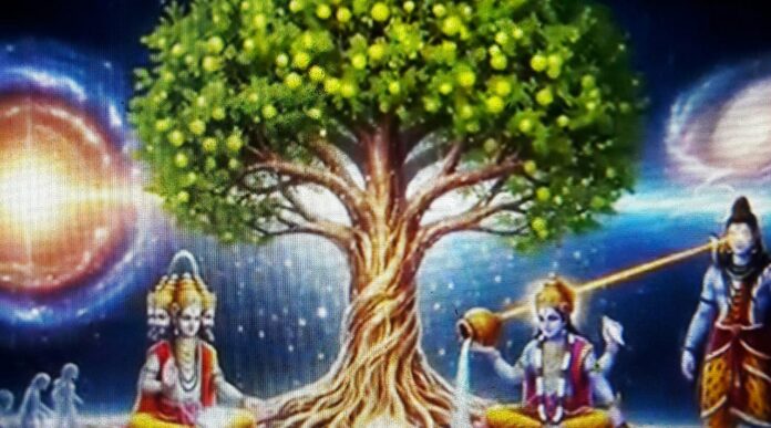 Amla Navami: Amla Navami is the first day of creation.