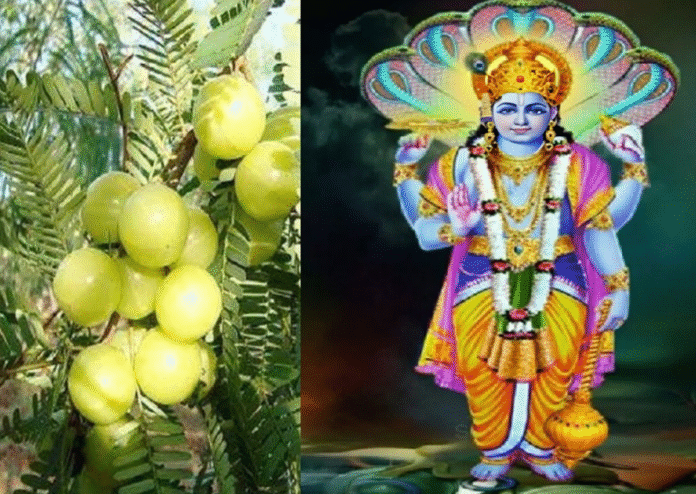 Akshaya Navami Akshaya Navami