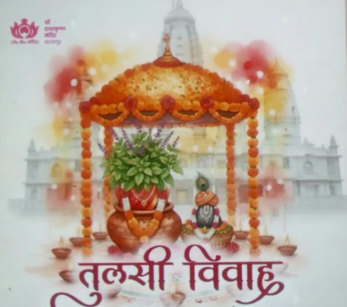 Tulsi Vivah: In her previous birth, Tulsi was Vrinda, the wife of the demon Jalandhar.