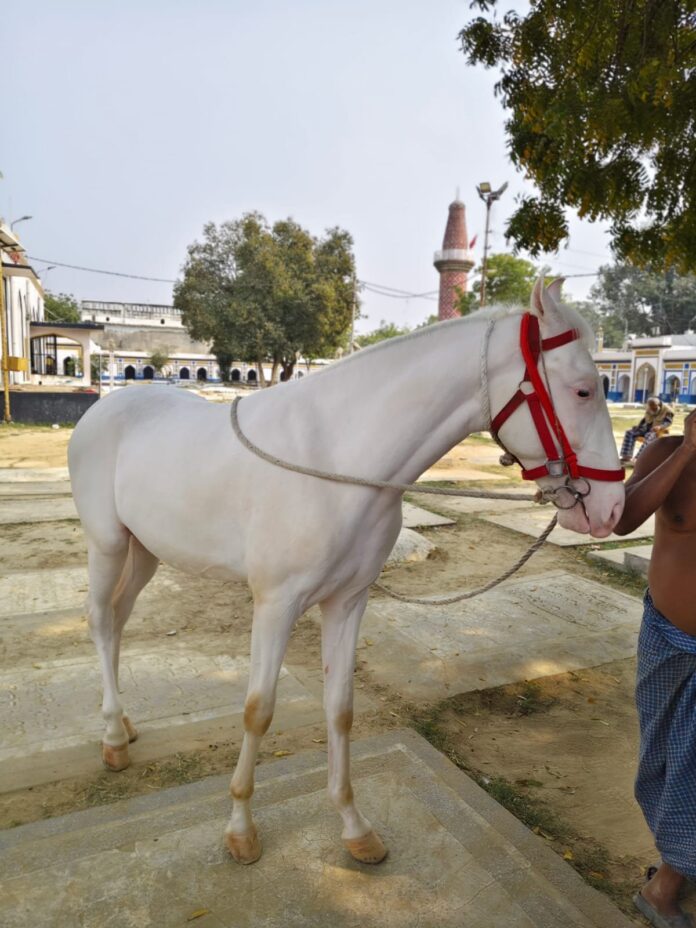 Lucknow news Lucknow news