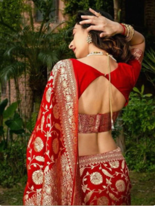 Modern latest blouse back designs