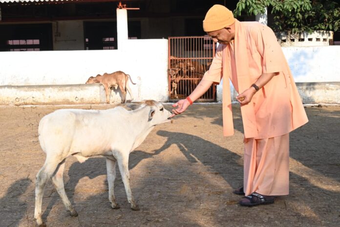 Gorakhpur: Second day of CM Yogi's visit Gorakhpur: Second day of CM Yogi's visit