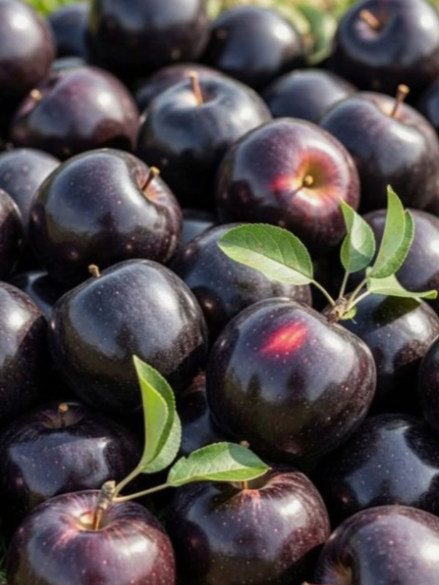 The 10 most expensive fruits in the world